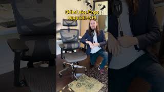 🌟Ultimate Home Office Tour Ergonomic Edition homeoffice ergonomic chair odinlake tour [upl. by Orat184]