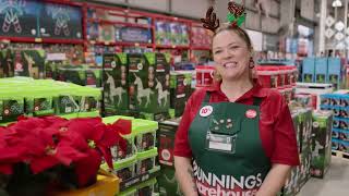 Bunnings Warehouse Ad 2023 [upl. by Aniloj]