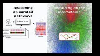 16 Protein Interaction Networks [upl. by Nwahsit]