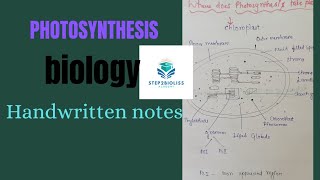 PHOTOSYNTHESIS l chloroplast structure l chlorophyll diagram neet [upl. by Fara52]