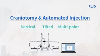 Automated Stereotaxic Instrument  craniotomy and automated injection [upl. by Anibas]