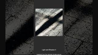 003511  Light and Shadow II [upl. by Pitarys667]