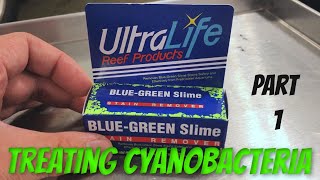 Using UltraLife Cyanobacteria Treatment for Aquarium  Part 1 [upl. by Krock173]