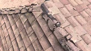 3143 Meadow Grove Dr  Roof Inspection Video [upl. by Kcirtap]