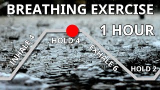 1 Hour of Deep Breathing for Anxiety 4462 Breathing Technique [upl. by Giovanna]