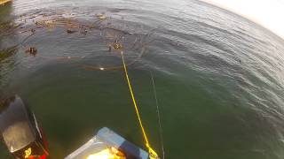 Deadly finessejigging technique with a 110 oz Sonic BaitFish [upl. by Ayrad248]