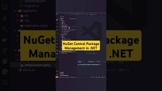 Centralize NuGet Package Management in NET Projects coding dotnet nuget pacakges [upl. by Stempson]