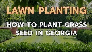 How to Plant Grass Seed in Georgia [upl. by Cand]