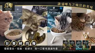 Wildislands 紐西蘭狂饗｜無穀天然貓糧 [upl. by Hut]