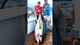 Madeira has the biggest big eye tunas [upl. by Arel850]