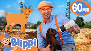 Blippi Feeds Baby Goats 🐐  Fun Farm Adventure for Kids  Educational Videos for Kids [upl. by Eseerehs]