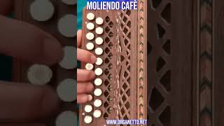 Shorts  8 Bassi  MOLIENDO CAFE  Accordion Diatonic  organetto [upl. by Snyder255]