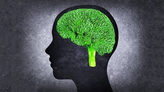 The 10 Best Foods To Boost Brain Power and Improve Memory [upl. by Golliner]