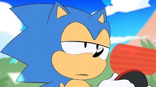 Sonic does not Approve [upl. by Noitna547]