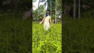 🌻🌻🌻ytshort nee venalil pollathemalayalam song [upl. by Lagiba]