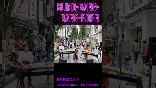 和楽器で『BlingBangBangBorn』和楽器ユニット NADESHIKO J ENSEMBLE MASHLE 和楽器 japanesemusic crrepynuts 神楽坂 [upl. by Aiyn596]