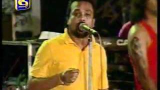 wimal weerawansa song flash bak samaga [upl. by Careaga]