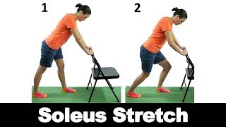 Soleus Stretch  Ask Doctor Jo [upl. by Rebor]