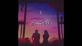 Zinda Dil By MHSONU Lyrics By Huzefa Sing By Moseen song mhsonu love [upl. by Ezaria]