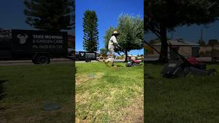 Tackling a Lightly Overgrown front yard lawncare [upl. by Seif804]