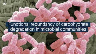 Quantifying the functional redundancy of carbohydratedegrading proteins in microbial communities [upl. by Safoelc]