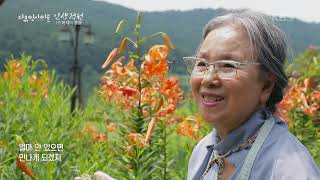 다큐인사이트 🌸가드닝을 꿈꾸신다면 이 아름다운 들꽃 정원을 소개합니다  “인생정원 1편 아내의 정원” KBS 210422 방송 [upl. by Joey]