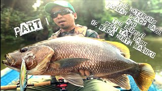 Black Bass Fishing North Maluku Part 1 [upl. by Armilda]