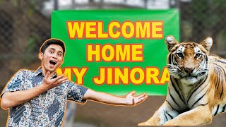 AKHIRNYA JINORA PULANG [upl. by Sauder]