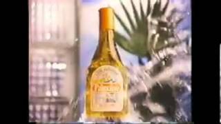 Palmolive Commercial 1980s [upl. by Norrat]