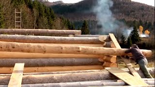 Building a LOG CABIN alone Start to Finish Timelaps [upl. by Laundes]