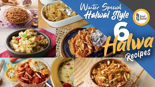 Winter Special Halwai Style Halwa Recipes by Food Fusion [upl. by Adrell615]