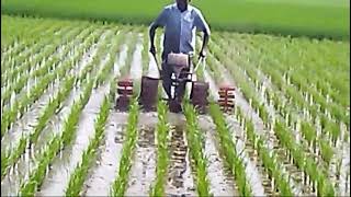 paddy weeder 5 row 28000 9787672239 melur Madurai d TN🇮🇳🙏 [upl. by Walburga]