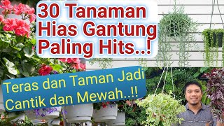 30 jenis Tanaman Hias Gantung Paling hits Cantik dan Mewah macam macam tanaman hias gantung [upl. by Emilio]