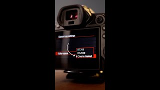 Cinema Gamut Is The Best Color Space On The Canon R5 📸 [upl. by Latoya]