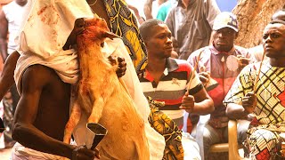 Voodoo Festival Ceremony 1 Ouidah Benin [upl. by Myna]