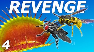 Can We Get Revenge on the Wasp That Stole Her Catch  Event 4 [upl. by Nawak867]