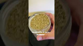 Perlite vs Vermiculite  Soil Amendments [upl. by Aynekat812]