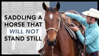 Saddling a horse that wont stand still [upl. by Sundberg]