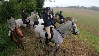 South Down Bloodhounds hunt at Avington 31124 petals first time out this season [upl. by Lemak925]