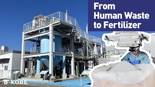 Turning Human Waste into EcoFriendly Fertilizer Phosphorus Recycling in Japan [upl. by Avilys653]