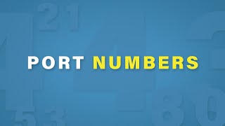 Port Numbers Explained  Cisco CCNA 200301 [upl. by Aicenav]