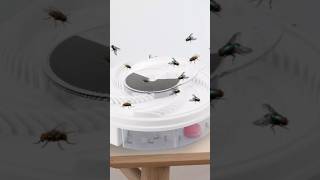 Catch Flies Effortlessly with Our Electric Fly Trap [upl. by Hguh]