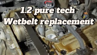 Citroen 12 2020 wetbelt replacement psa pure tech using locking tools [upl. by Cicily]