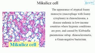 Mikulicz cell English  Medical terminology for medical students [upl. by Joashus962]