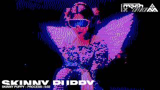 SKINNY PUPPY  PROCESS  DUSTRIAL NETART GLITCH MECH CHVRCH [upl. by Massiw]