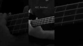 AIC Brother warwickbass bass warwick aliceinchains rock brother music [upl. by Eolc]