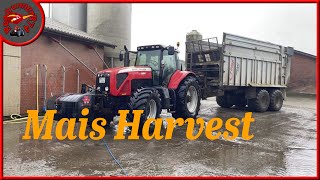 Massey ferguson 8480 Straight pipe Stuck corn harvest Complication [upl. by Haroved]