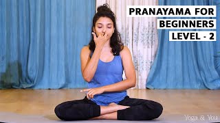 Pranayama  Nadishodhan Pranayama l Breathing technique for Stress Relief  VentunoYoga [upl. by Ebonee]