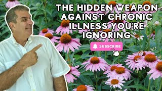 The Truth About Echinacea – Why Its More Powerful Than You Think [upl. by Thurman]