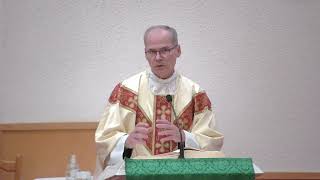 quotPreferring a heavenly rewardquot  Homily  Monday November 4 2024  by Fr Steven [upl. by Ocsecnarf]